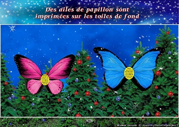 Forêt du Père Noël (082) Ailes de papillon